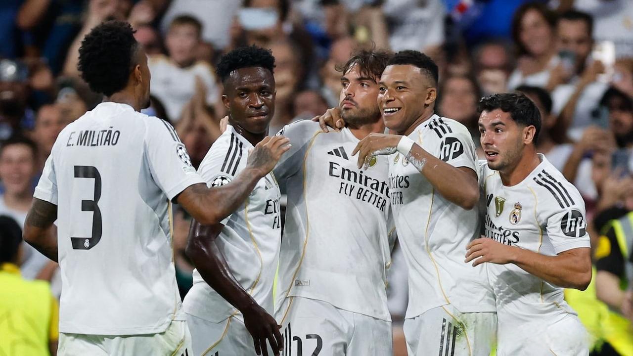 芝加哥小熊在 2024 年底宣布将与其主场的常春藤墙进行特殊的生态保护项目