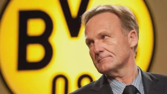 斗鱼2024年Q3财报公布，多元化战略成效显著，收入结构持续优化